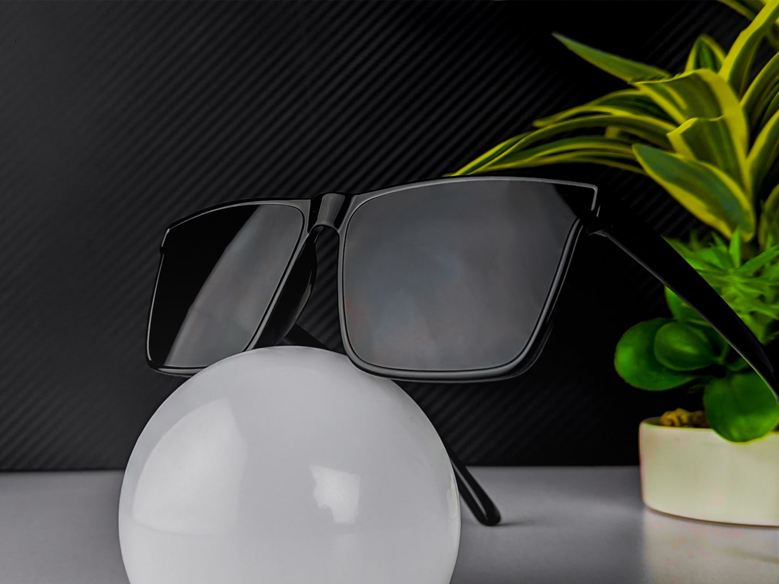 Double Poly Sunglass